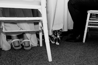 Wedding photographer József Márk Losonczi. Photo of 15.09.2025