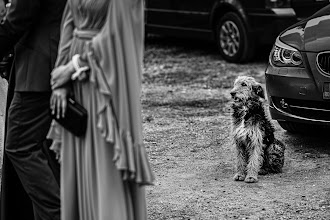 Fotógrafo de casamento Petrovan Razvan. Foto de 24.02.2024