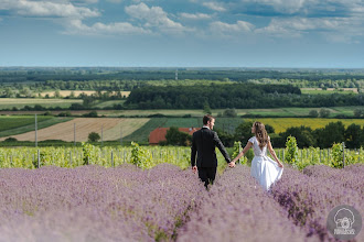 Fotógrafo de bodas Balázs Bergics. Foto del 03.03.2019