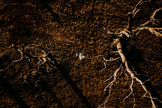 Wedding photographer Michał Banasiński. Photo of 25.11.2023
