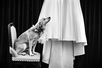 Wedding photographer Fabio Colombo. Photo of 16.07.2025