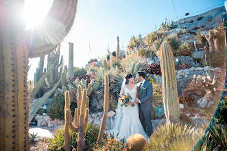 Wedding photographer Virginie Debuisson. Photo of 29.03.2018