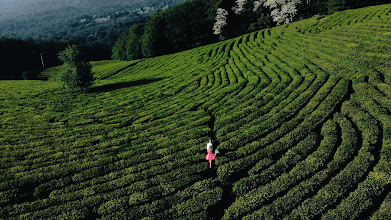 Fotografer pernikahan Andrey Kalitukho. Foto tanggal 11.12.2022