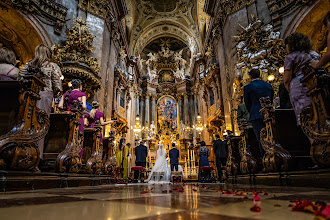 Fotógrafo de bodas Carina Rodríguez. Foto del 01.06.2025