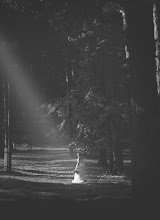 Photographer sa kasal Alek Zotoff. Larawan ng 08.12.2015