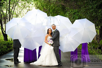 Fotografo di matrimoni Cheryl Ogden. Foto del 30.12.2019