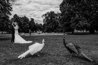 Wedding photographer Dawid Mazur. Photo of 14.10.2025