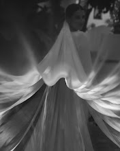 Pulmafotograaf Emanuele Belini. 22.09.2025 päeva foto