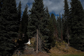 Bröllopsfotografer Jete Devisser. Foto av 08.05.2019