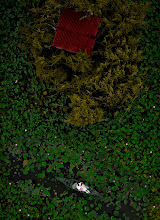 Svadobný fotograf MOJTABA DEHGHANIAN. Fotografia z 16.07.2025
