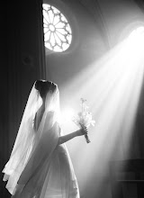 Vestuvių fotografas: Anastasiya Komissarova. 12.05.2024 nuotrauka