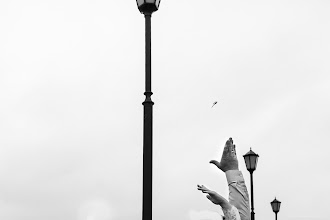 Kāzu fotogrāfs Anna Borodina. Fotogrāfija, 31.07.2020