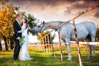 Fotógrafo de casamento Zdeněk Schovanec. Foto de 14.10.2020