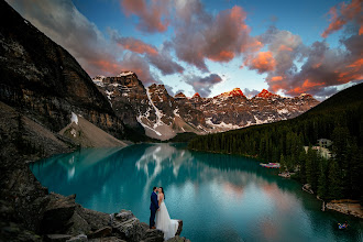 Photographe de mariage Dorota Karpowicz. Photo du 15.04.2024