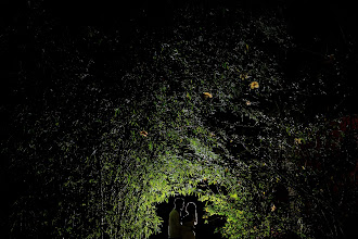 Wedding photographer Rodrigo Gomez. Photo of 22.07.2024
