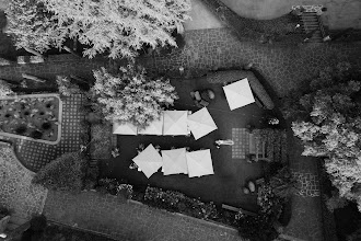 Wedding photographer Vera Fleisner. Photo of 31.07.2025