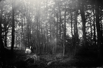 Fotografer pernikahan Shahar Drori. Foto tanggal 25.09.2016