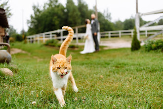 Wedding photographer Aleksandr Kuzmin. Photo of 09.08.2021