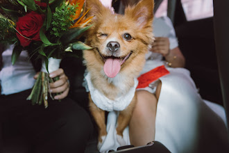 Photographe de mariage Bao Jin. Photo du 14.06.2022