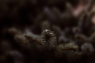 Svatební fotograf Ioana Parvan. Fotografie z 17.07.2018