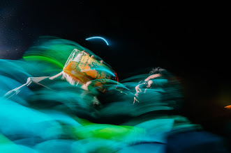 Wedding photographer Sebastian Rubio. Photo of 02.05.2025