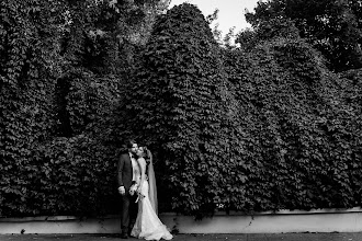 婚姻写真家 Irina Paley. 03.09.2025 の写真