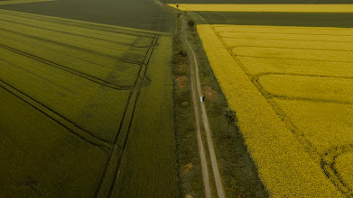 Photographer sa kasal Marcin Dąbrowski. Larawan ng 01.06.2025
