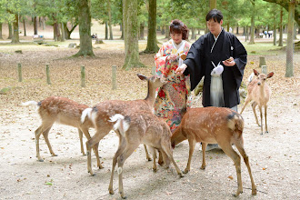 Fotógrafo de casamento Kazuki Ikeda. Foto de 05.06.2019