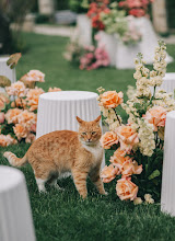 Photographe de mariage Alisa Markina. Photo du 11.05.2025