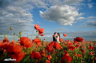 Wedding photographer Sergey Bondar. Photo of 08.06.2016