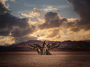 Wedding photographer Shawn Black. Photo of 19.02.2025