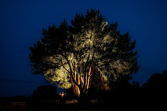 Wedding photographer Stephane Auvray. Photo of 06.06.2025