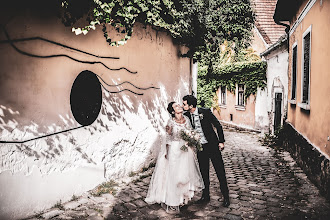 Fotografo di matrimoni Sándor Csudai. Foto del 04.12.2018
