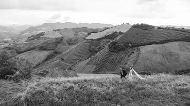 Wedding photographer Dmitriy Margulis. Photo of 16.03.2025