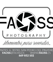 Oscar Fernandez Zugazaga (faoss)