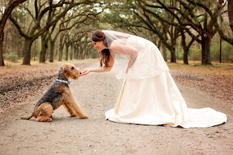 Wedding photographer Angela Hopper. Photo of 08.09.2019