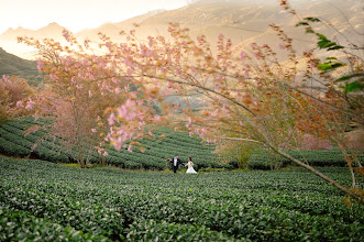 Wedding photographer Nien Truong. Photo of 09.08.2025