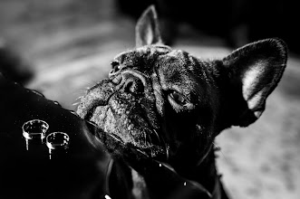 Wedding photographer Marius Stoian. Photo of 03.06.2025