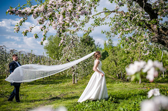 Fotografo di matrimoni Dream Wed. Foto del 15.09.2016