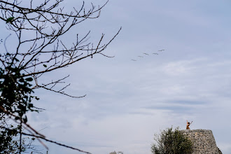 Photographe de mariage Salvatore Massari. Photo du 11.01.2023