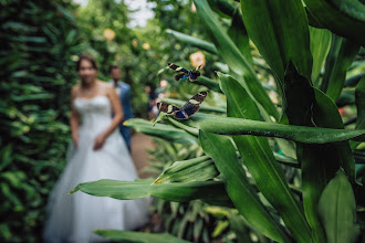 Huwelijksfotograaf Robert Van Ingen. Foto van 18.06.2020