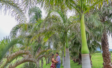 Fotógrafo de casamento Jorge Alcalá Luna. Foto de 26.09.2021