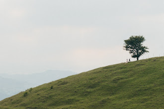 Fotograf ślubny Dana Savchuk. Zdjęcie z 25.10.2019