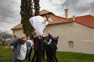 Wedding photographer Ludvík Danek. Photo of 10.11.2022