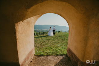 Hochzeitsfotograf Marina Kosina. Foto vom 24.05.2016