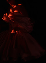 Wedding photographer Mikhail Vdovin. Photo of 01.09.2025