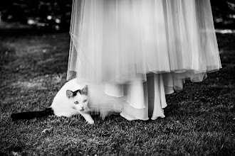 Hochzeitsfotograf Adrian Ilea. Foto vom 27.04.2024