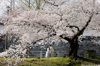婚禮攝影師Kenichi Morinaga. 02.04.2024的照片