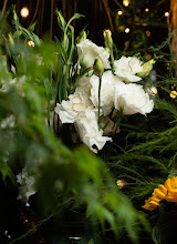 Wedding photographer Gonzalo Farías. Photo of 14.11.2025