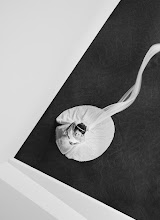 Весільний фотограф Nagayuki Kojima. Фотографія від 06.08.2023